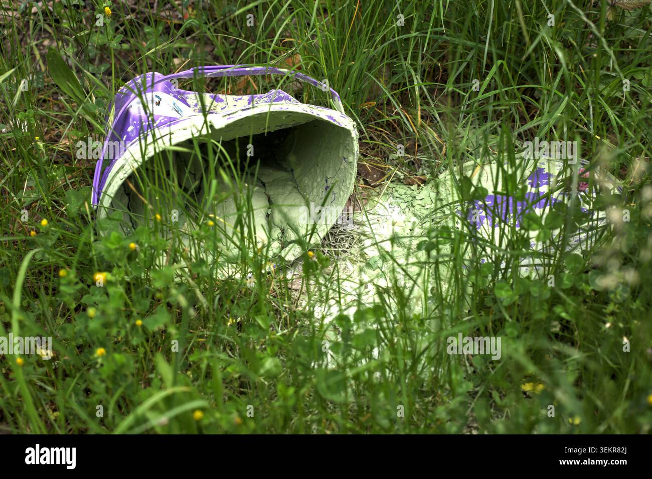 Un secchio di vernice viola abbandonato in una foresta, che riversa rifiuti chimici verdi tossici su tutta l'erba selvatica e i fiori freschi. Foto Stock