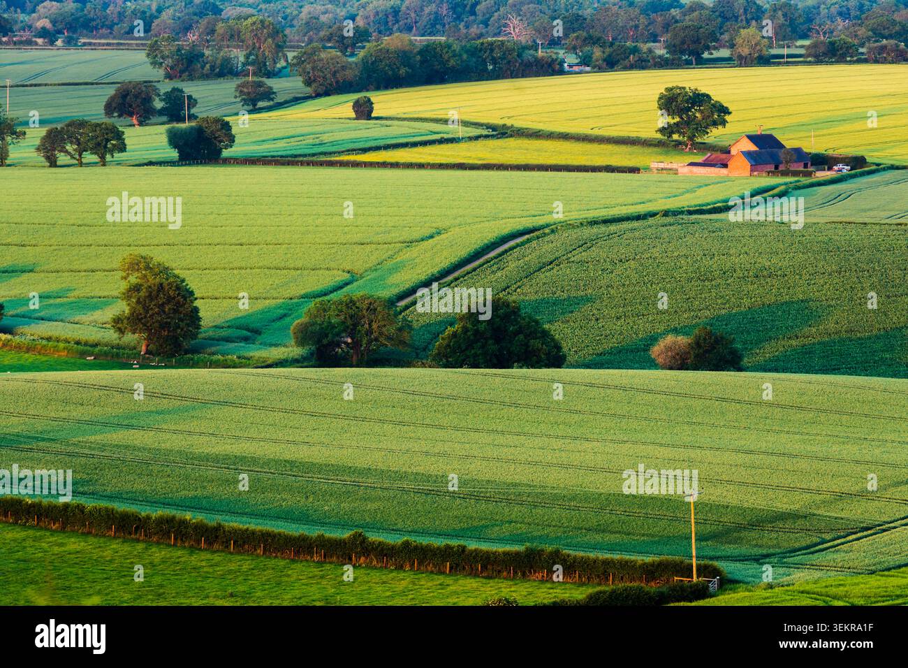 Mattina di primavera sulle colline Shropshire vicino a Shrewsbury. Foto Stock