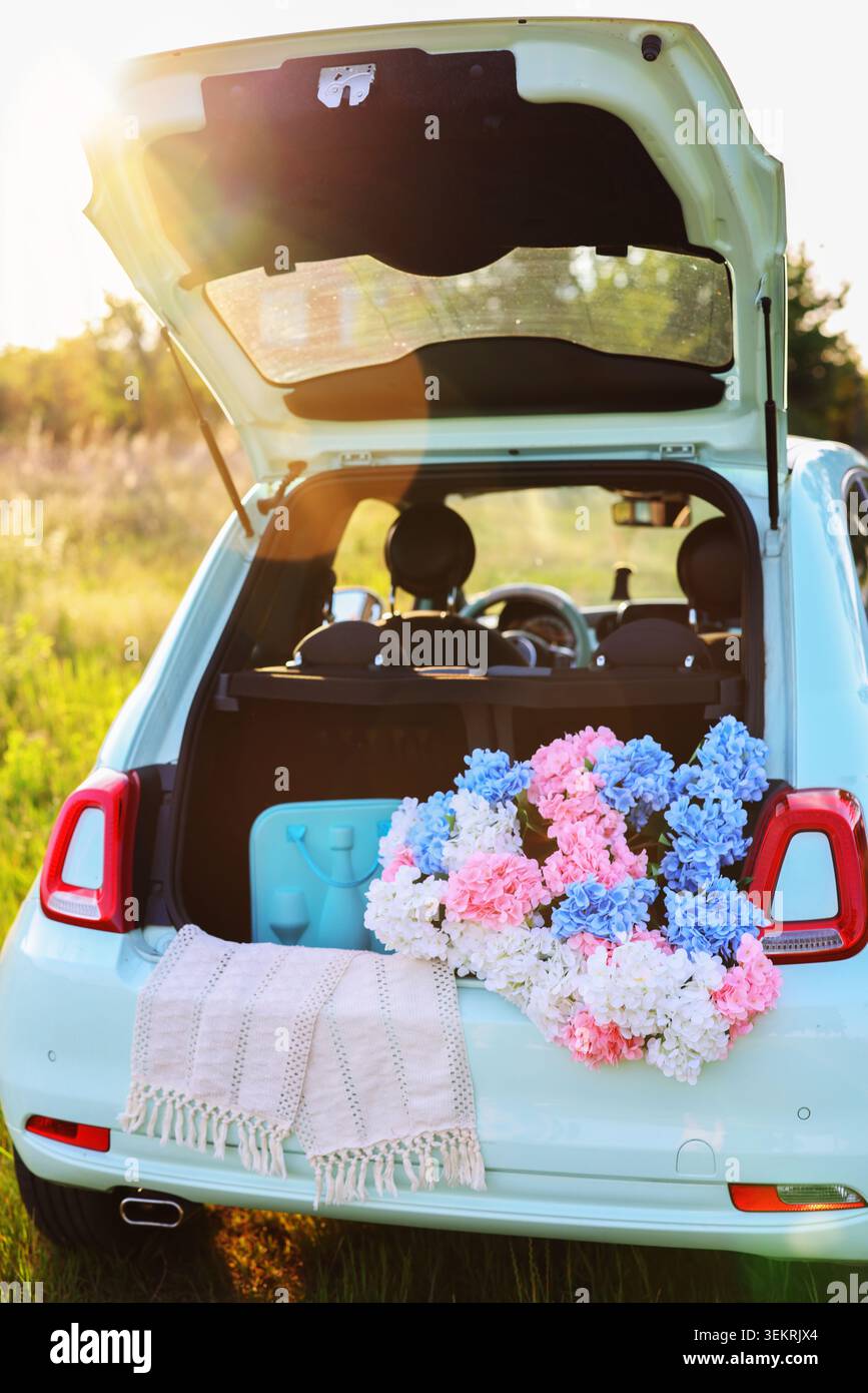 Ortensie rosa, blu e bianche in fiore disposte nel bagagliaio di un'auto compatta in stile vintage, perfetta per lo stile di vita, il matrimonio e i temi stagionali Foto Stock