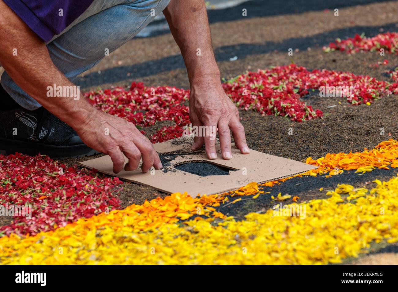 la Orotava, Tenerife, Spagna - 26 giugno 2025. Bellissimi tappeti floreali a la Orotava durante il Corpus Christi. Famoso evento religioso e concorso di f Foto Stock
