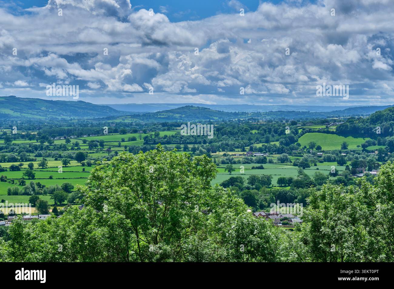 Guardando a sud verso Welshpool e Wern da Lannymynech Hill, Llanymynech, Shropshire Foto Stock