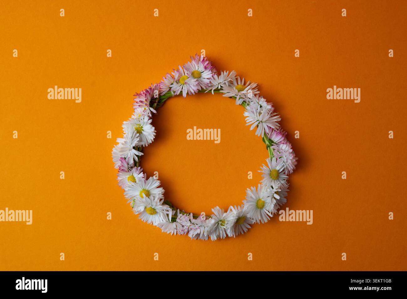 Corona di fiori selvatici di mezza estate su sfondo arancione Foto Stock
