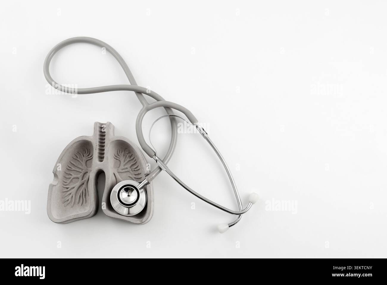 Modello polmonare con stetoscopio per il controllo della salute respiratoria Foto Stock