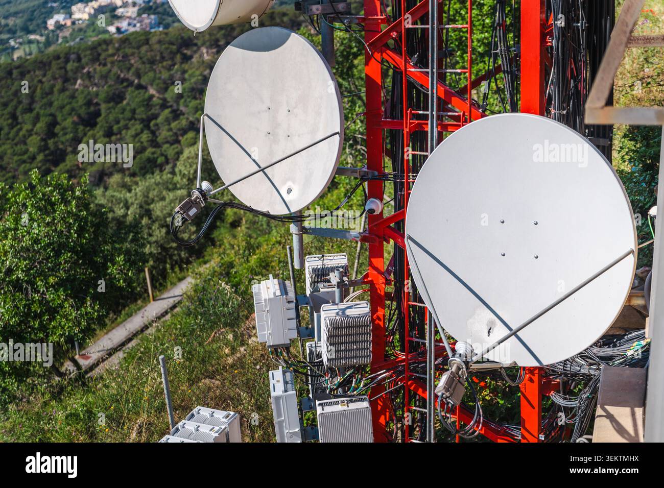 Piastre a microonde per telecomunicazioni montate sulla torre di comunicazione in un paesaggio boschivo Foto Stock
