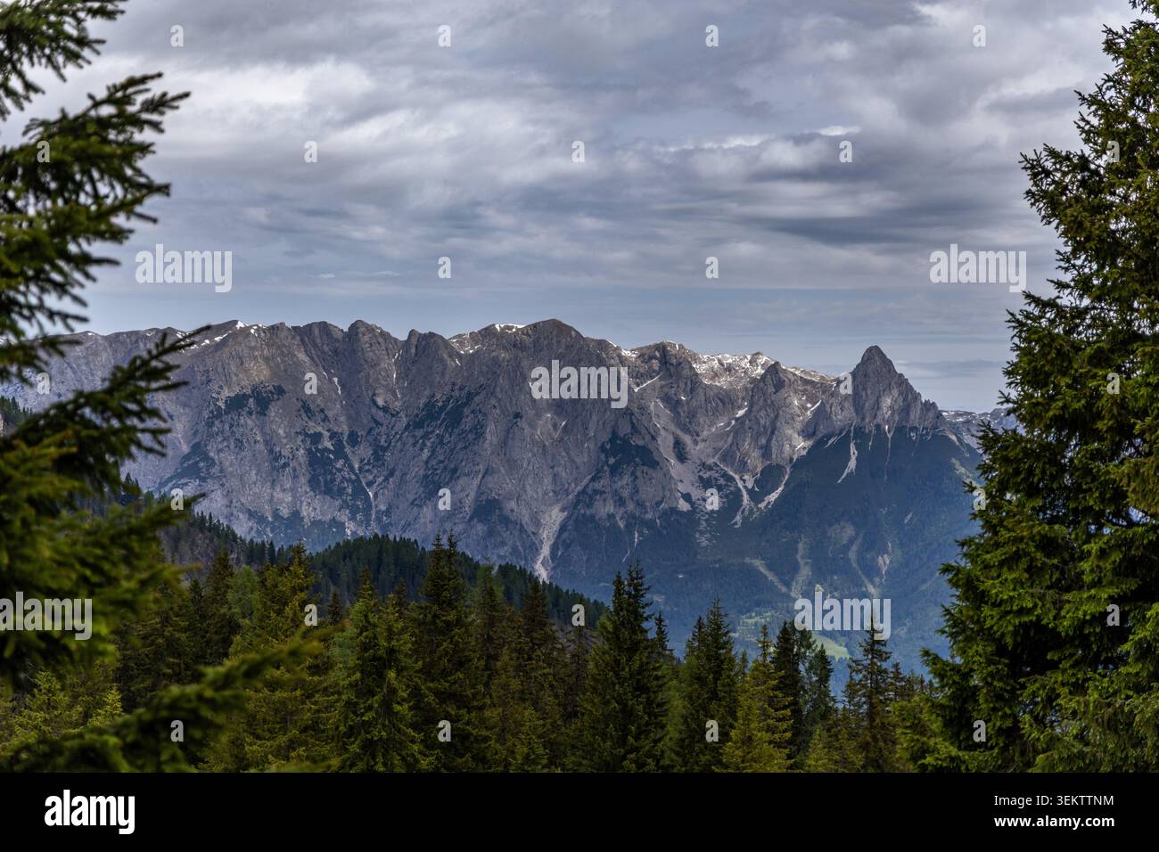Una vista mozzafiato di un'aspra catena montuosa domina la scena, parzialmente oscurata da lussureggianti pini verdi in primo piano. I picchi sono drammatici Foto Stock