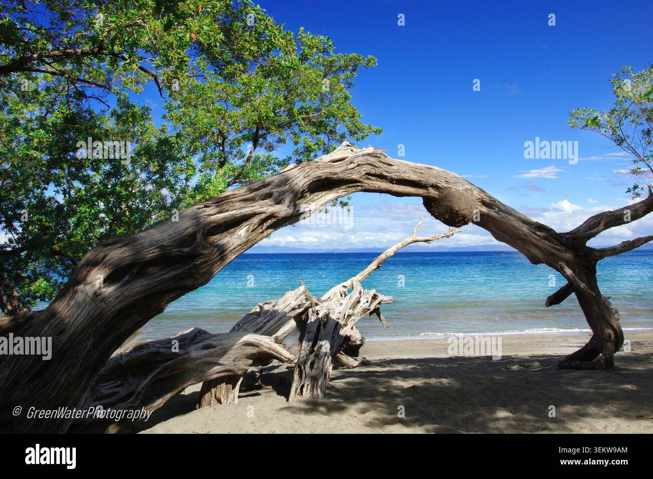 Costa Rica Guanacaste Foto Stock