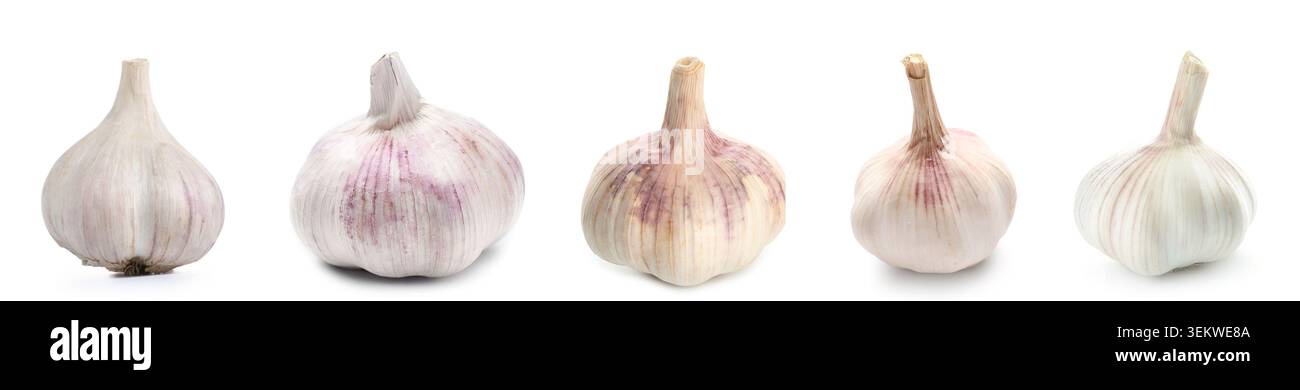 Cinque bulbi d'aglio interi isolati su sfondo bianco, teste d'aglio biologiche fresche in fila, ingrediente di cottura sano, condimento naturale, cibo da cucina Foto Stock