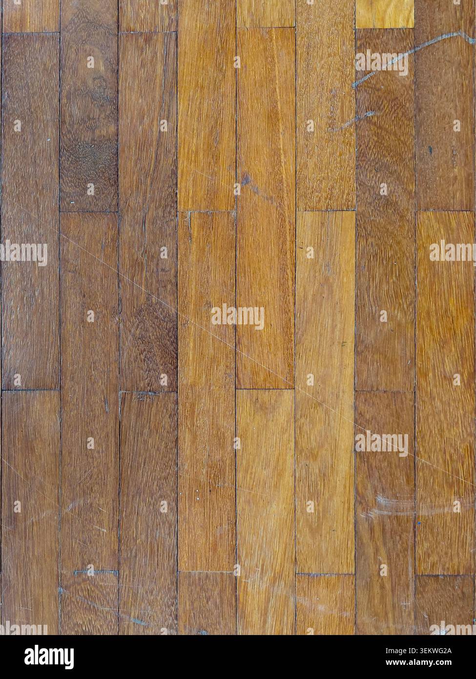 Una vista a telaio completo dall'alto di un pavimento in parquet in legno usurato che mostra varie sfumature marroni, motivi a grana naturale e graffi visibili sulla superficie Foto Stock