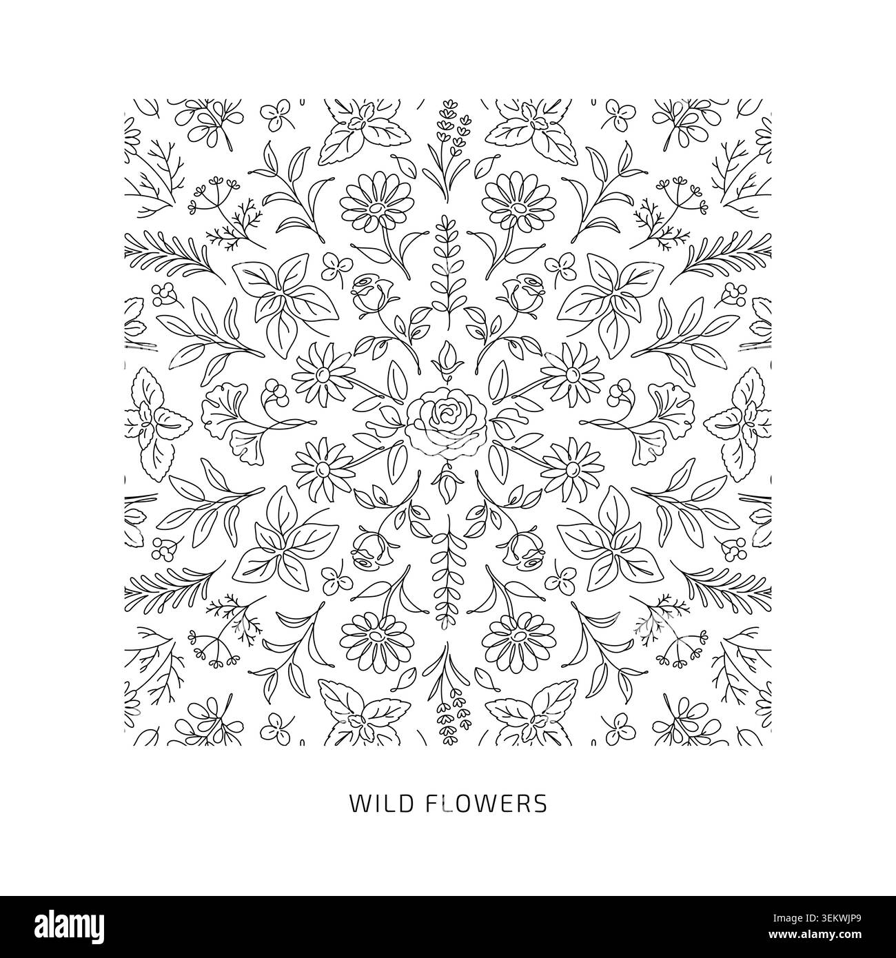 Linea botanica Wildflower Art senza cuciture motivo con delicate erbe e foglie Illustrazione Vettoriale