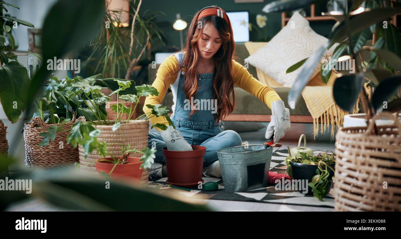 Giardinaggio, fiorista o donna con piante in casa, impianto e fertilizzante cambia per la conservazione. Sostenibilità, manutenzione della flora e persona con Foto Stock