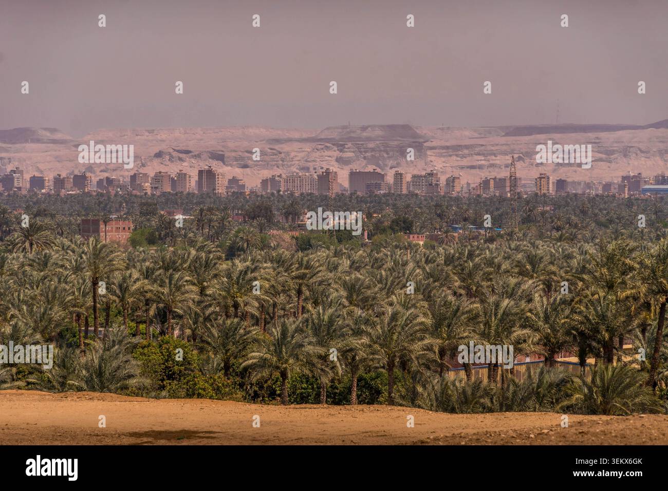 Paesaggio urbano del Cairo dietro una fitta oasi di palme nel deserto egiziano, edifici urbani contro colline rocciose lontane e sabbie aride. Foto Stock