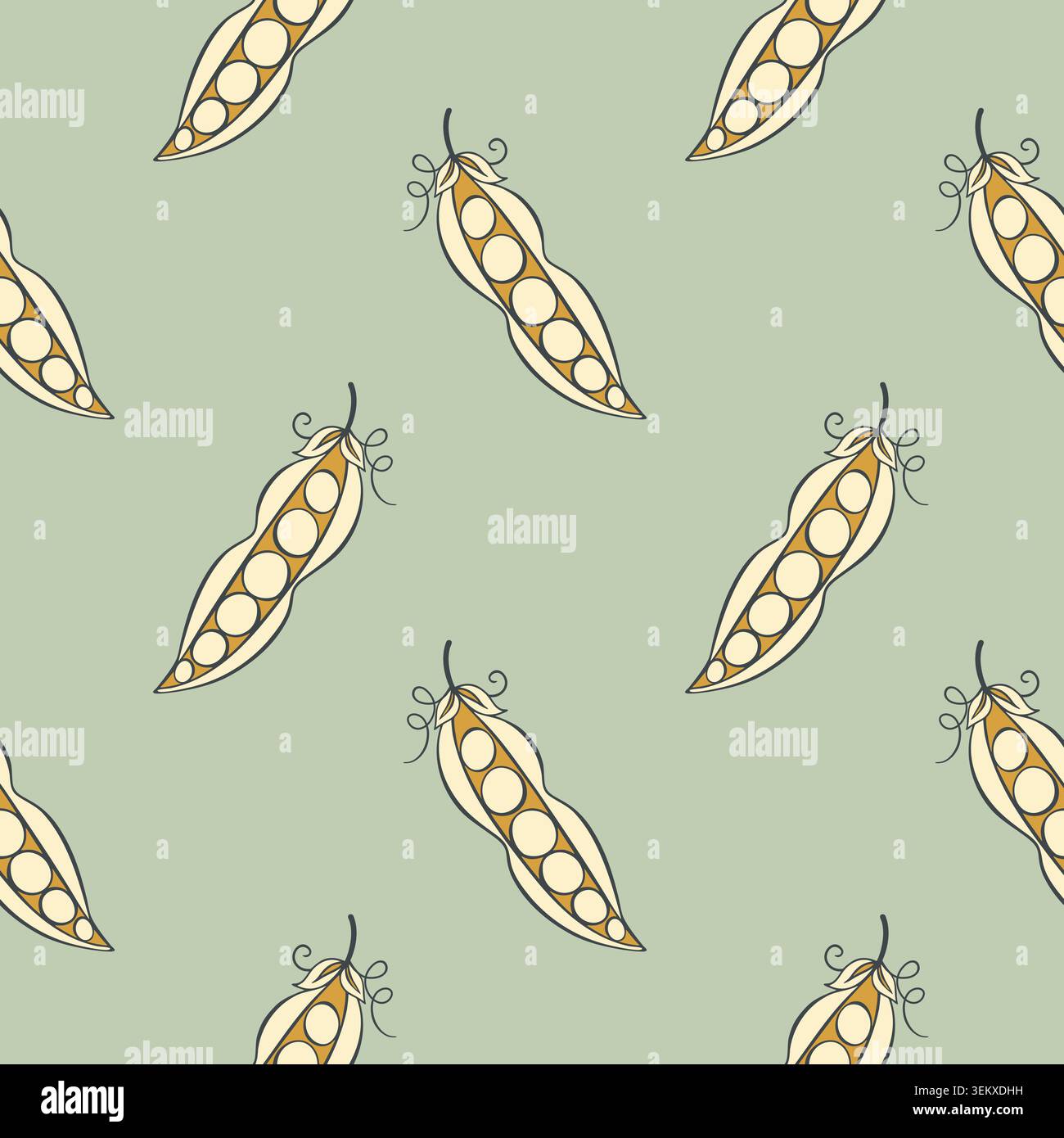 Illustrazione vettoriale con pattern senza cuciture dei POD PEA. Sfondo leguminoso disegnato a mano in stile retrò per tessuti da cucina, carta da imballaggio vintage, striscione per imballaggi alimentari biologici. Illustrazione vettoriale Illustrazione Vettoriale