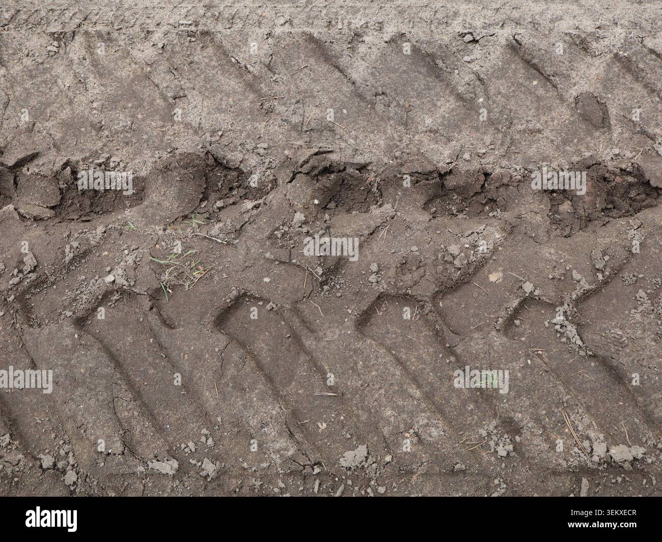 Vista ravvicinata delle tracce degli pneumatici nello sporco con impronte Foto Stock