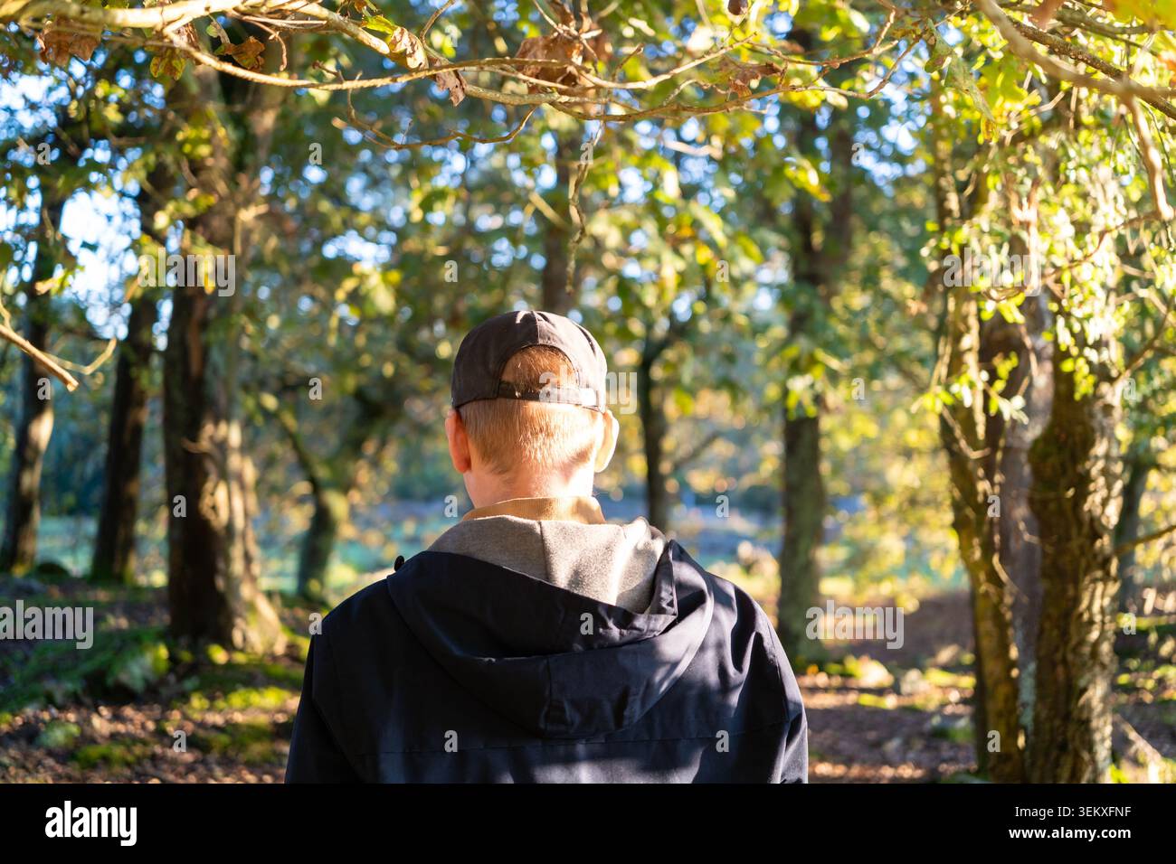 Uomo che esplora la natura, godendo della solitudine e della luce del sole in una foresta autunnale Foto Stock