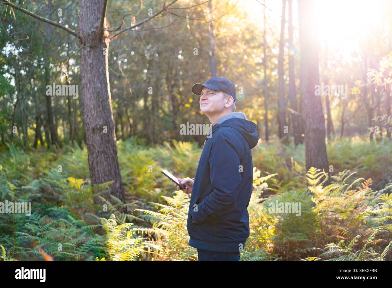 Uomo con smartphone che guarda in alto in una foresta circondata da felci e luce solare Foto Stock