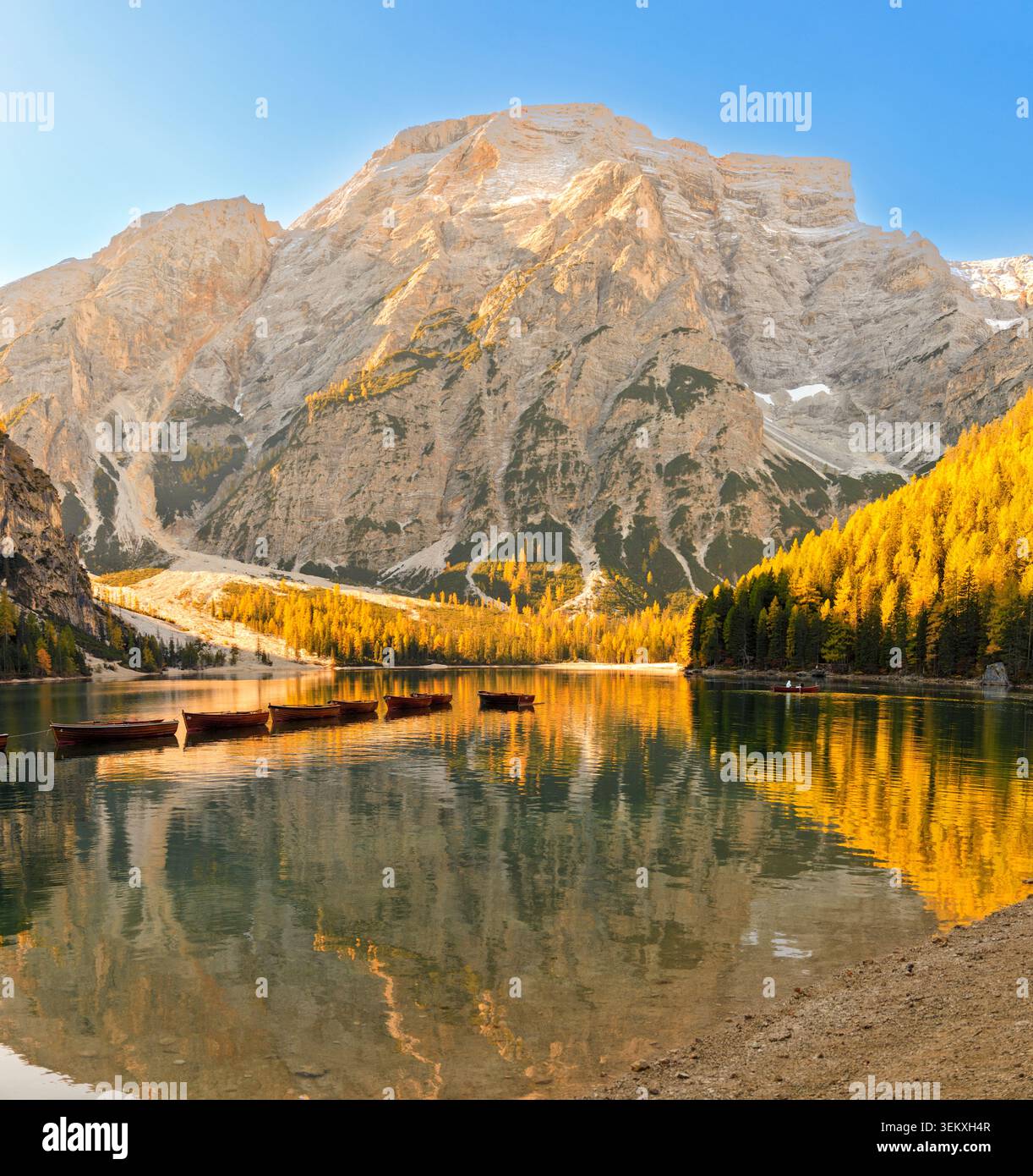 Prags, Italia - 18.10.2021: Massiccio roccioso illuminato dal sole che si affaccia su un lago ancora alpino con vibrante fogliame autunnale giallo e barche a remi ormeggiate Foto Stock