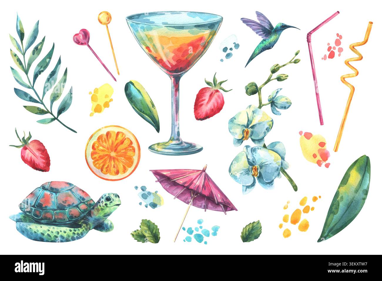 Collezione di illustrazioni disegnate a mano ad acquerello con elementi tropicali estivi. Cocktail, fragola, fetta di arancia, tartaruga, colibrì, fiore di orchidea Foto Stock