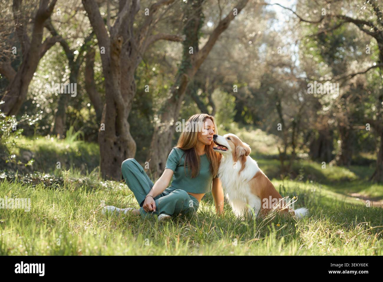 La donna e il suo confine Collie godono di un momento di pace sull'erba illuminata dal sole. Il loro momento di quiete condiviso riflette un forte legame. Foto Stock