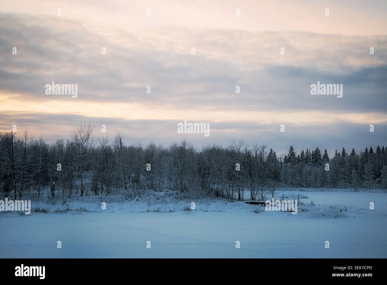 Scena invernale che mostra una foresta innevata, un lago ghiacciato e un cielo nuvoloso all'alba Foto Stock