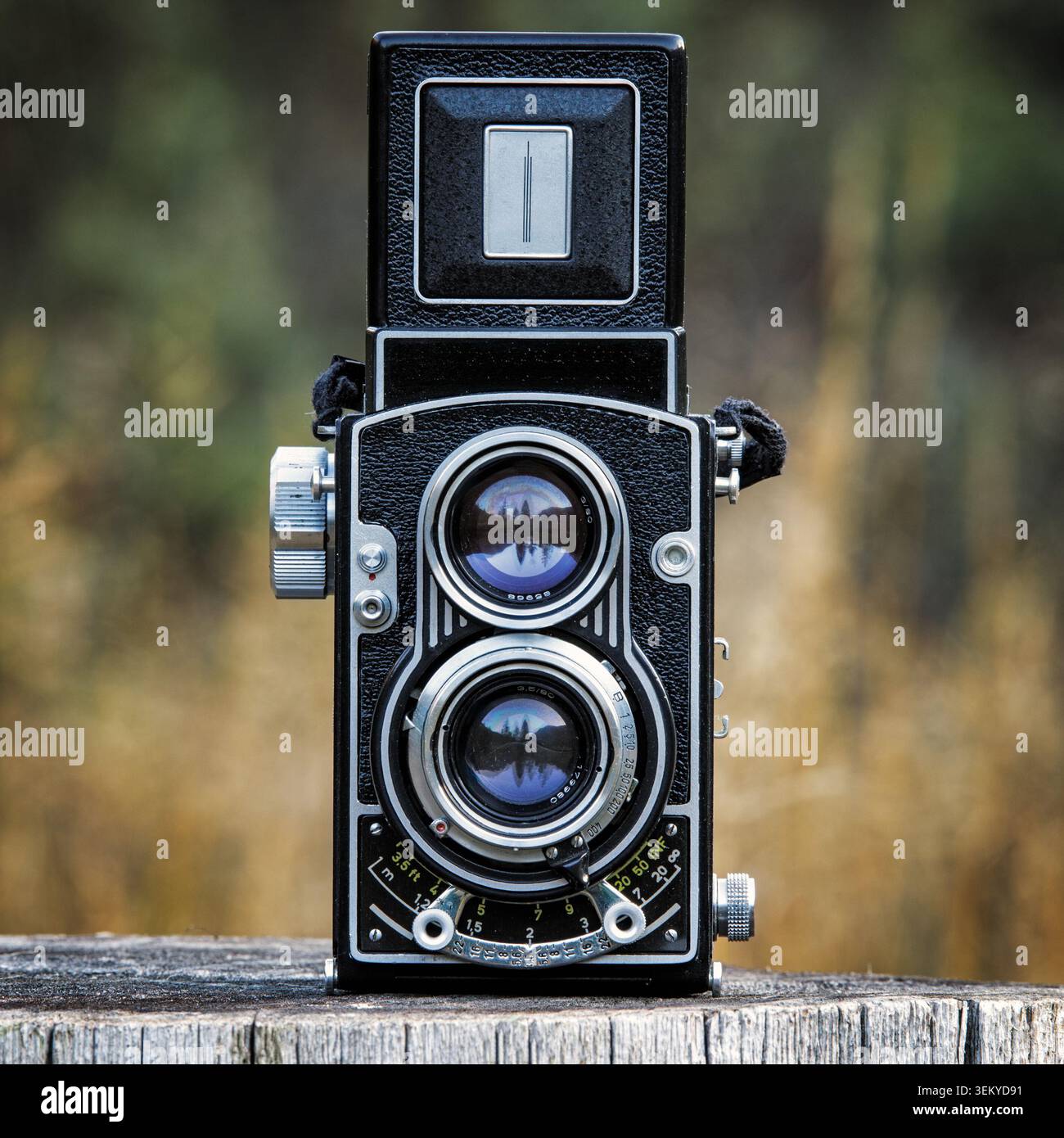 Fotocamera retrò di medio formato su una superficie in legno, che riflette alberi boschivi nei suoi obiettivi Foto Stock