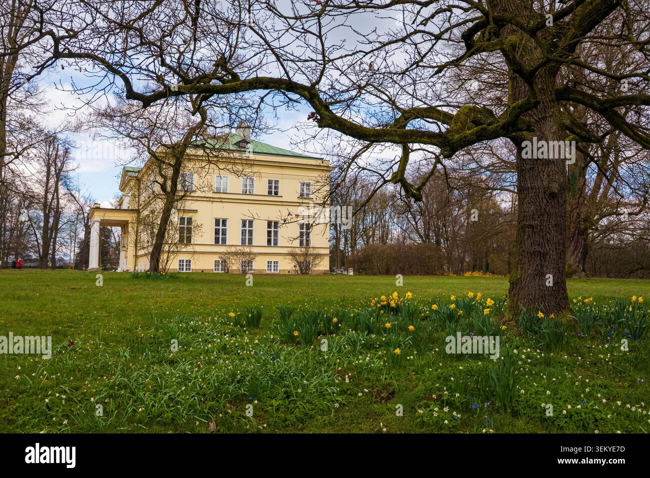 Hermesvilla, un palazzo storico che sorge su un prato verde con narcisi e alberi in fiore in primavera Foto Stock