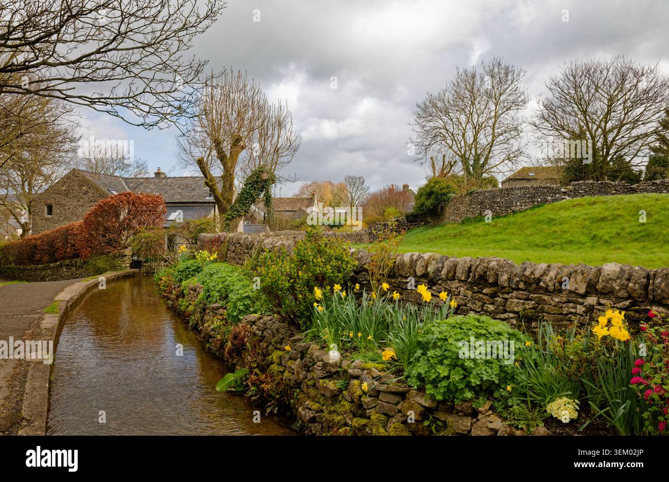 Un corso d'acqua in un villaggio con fiori primaverili accanto a un campo erboso con case in pietra e alberi senza foglie, Castleton, Peak District, Derbyshire. Foto Stock