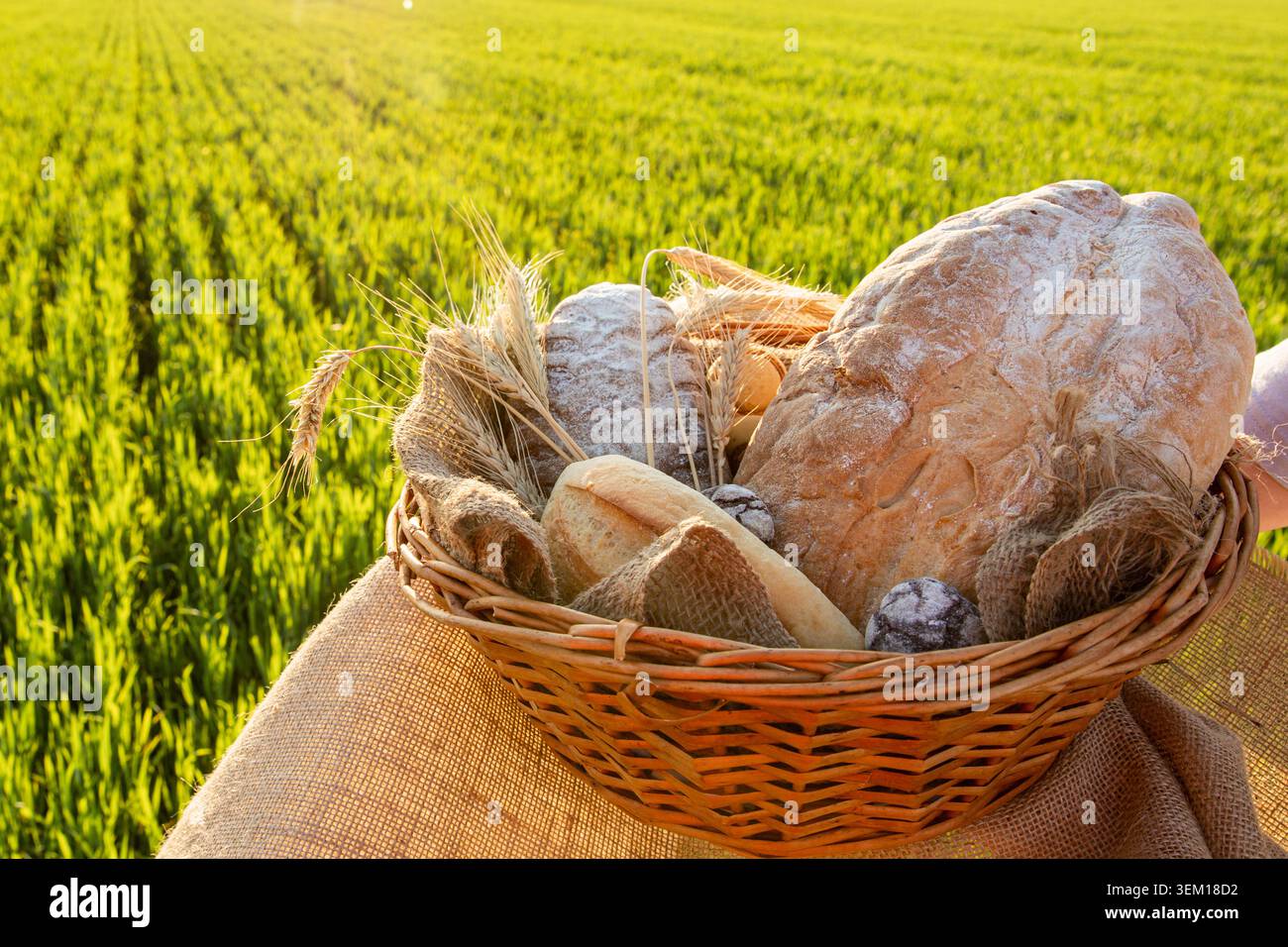 Assortimento di pane artigianale fresco nel cestino di vimini sul campo di grano verde Foto Stock
