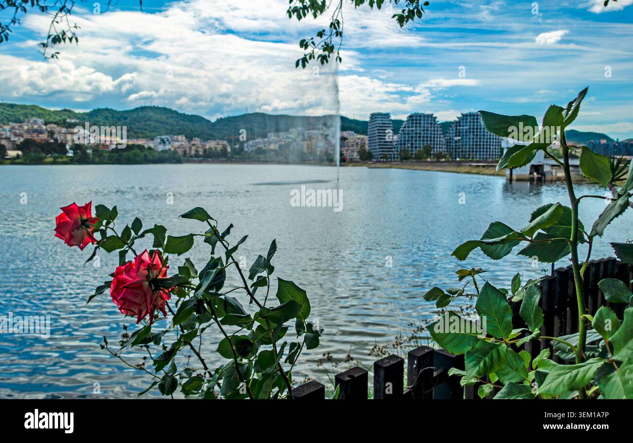 Rose rosse su un cespuglio vicino a una recinzione si affacciano su una fontana che si alza sopra il lago artificiale nel Grand Park di Tirana, Albania. Foto Stock