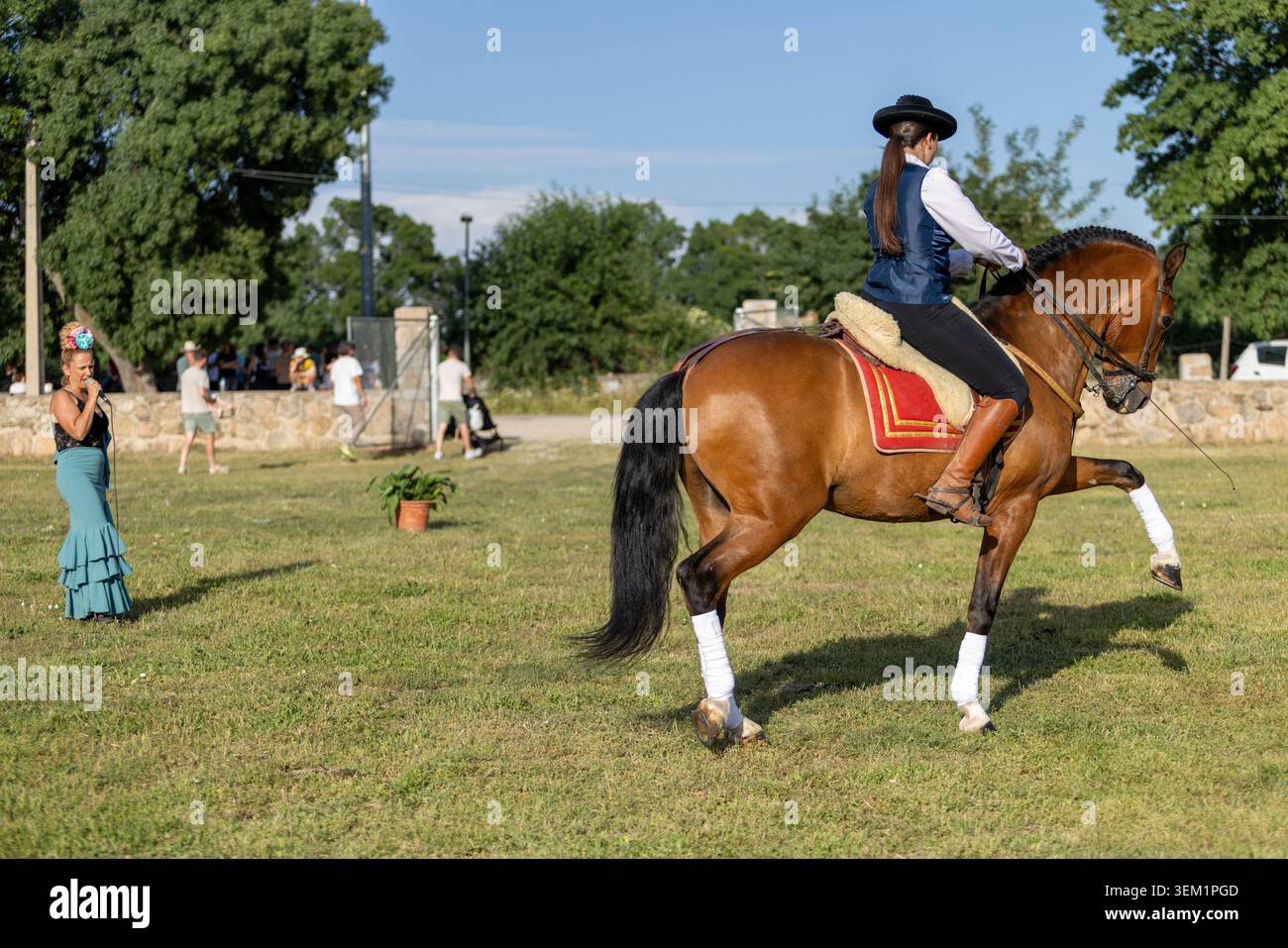 Cavallo e cavaliere che mostrano il movimento laterale naturale durante l'evento equestre Foto Stock