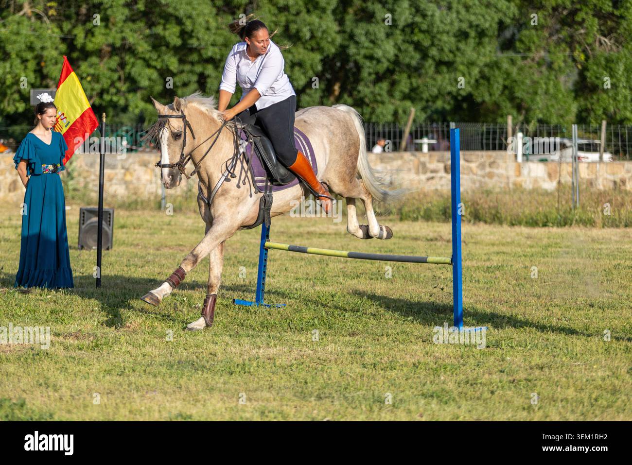 Donna e cavallo a mezz'aria durante lo spettacolo di salto nello spettacolo Foto Stock