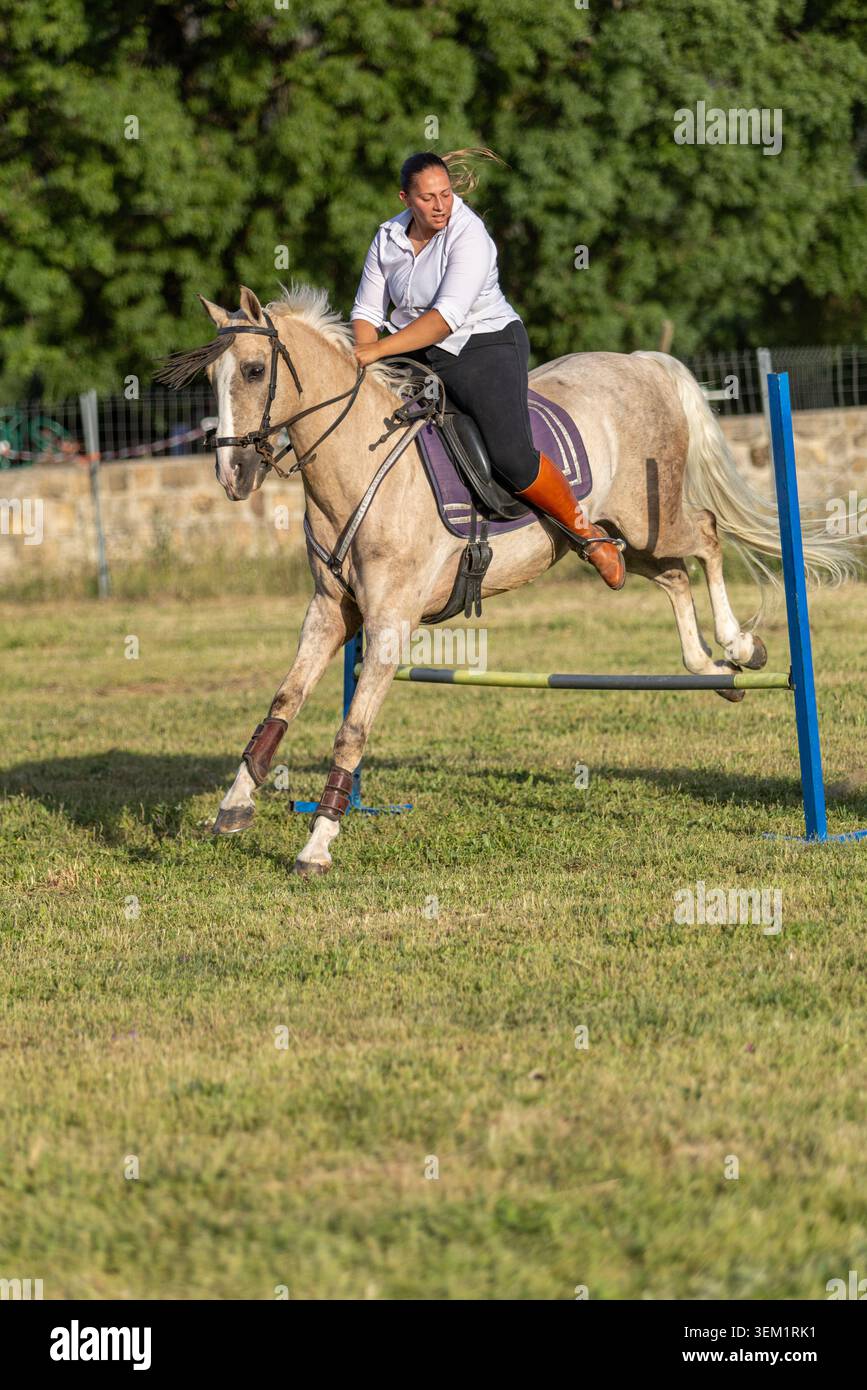 Donna equestre che elimina l'ostacolo durante la gara di salto con lo spettacolo Foto Stock