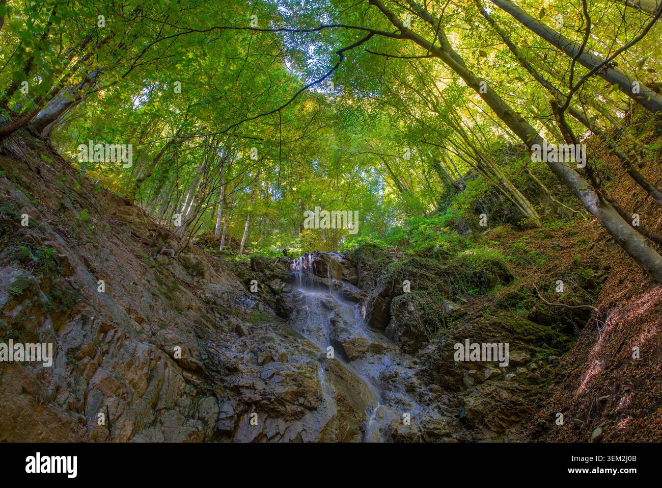 Una cascata nascosta nella foresta autunnale lungo il percorso del giro di Lombardia. Foto Stock