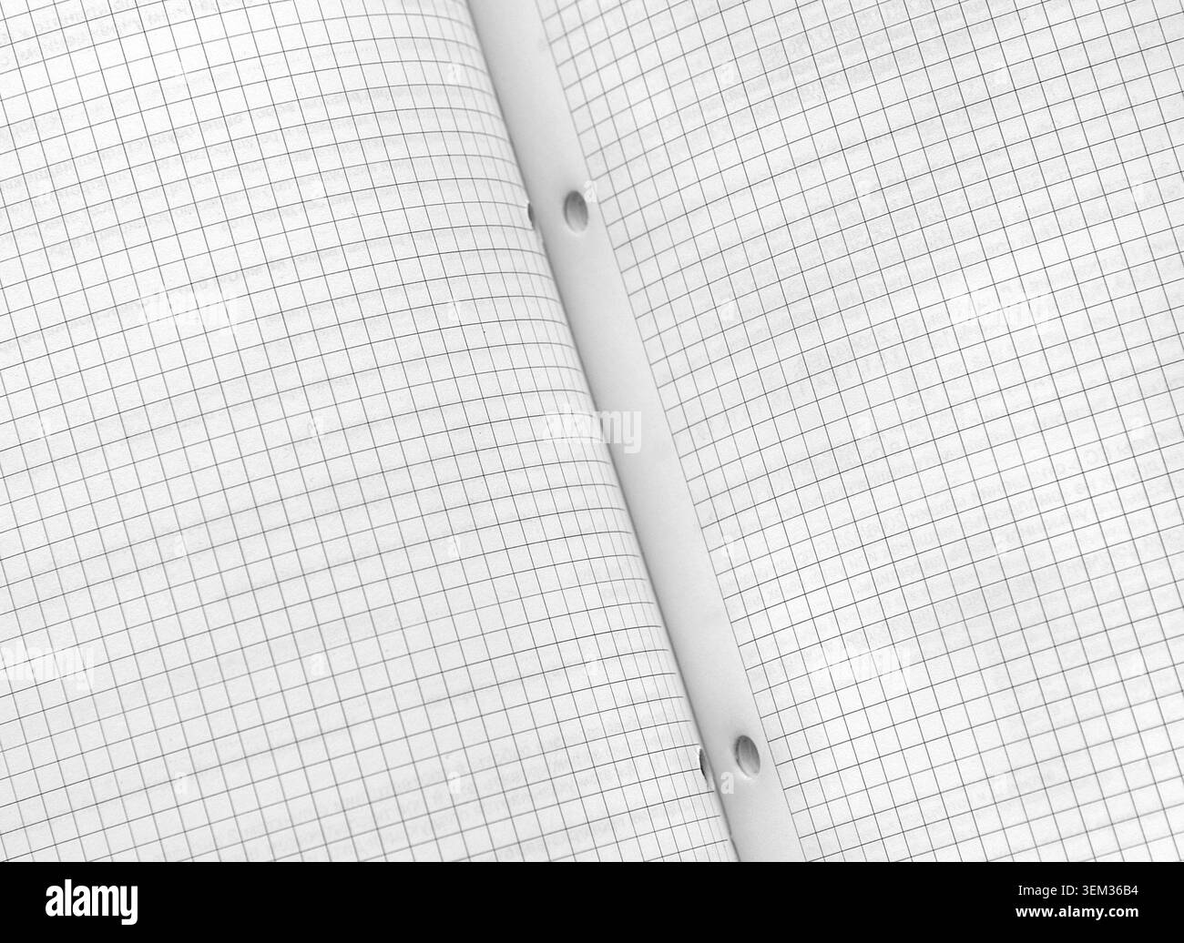 Foglio quadrato aperto per notebook, primo piano. Sfondo carta griglia, spazio di copia. Grana sfondo carta sezione bianca. Foto Stock