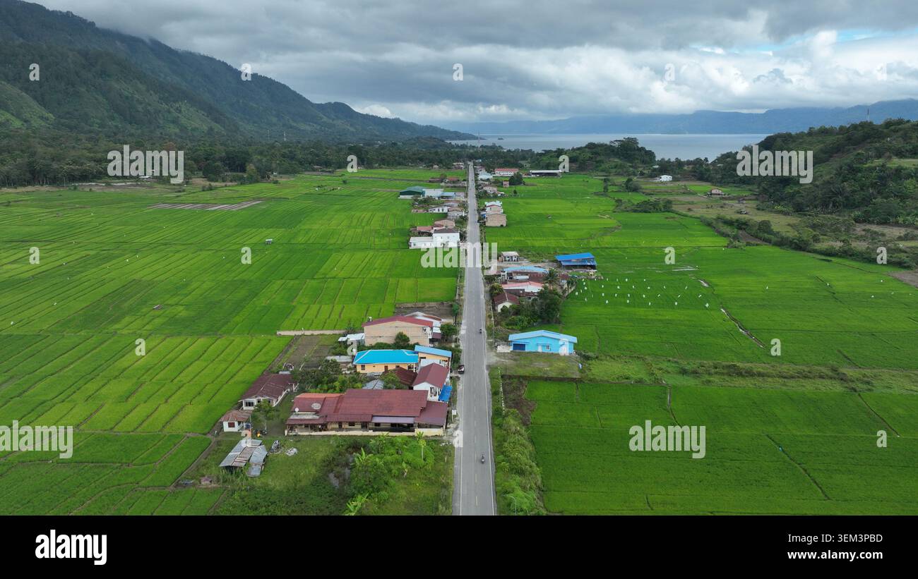 Vista aerea di una strada rettilinea che passa attraverso lussureggianti risaie verdi e case rurali con il lago Toba e le montagne sotto un cielo nuvoloso a Samosir Rege Foto Stock