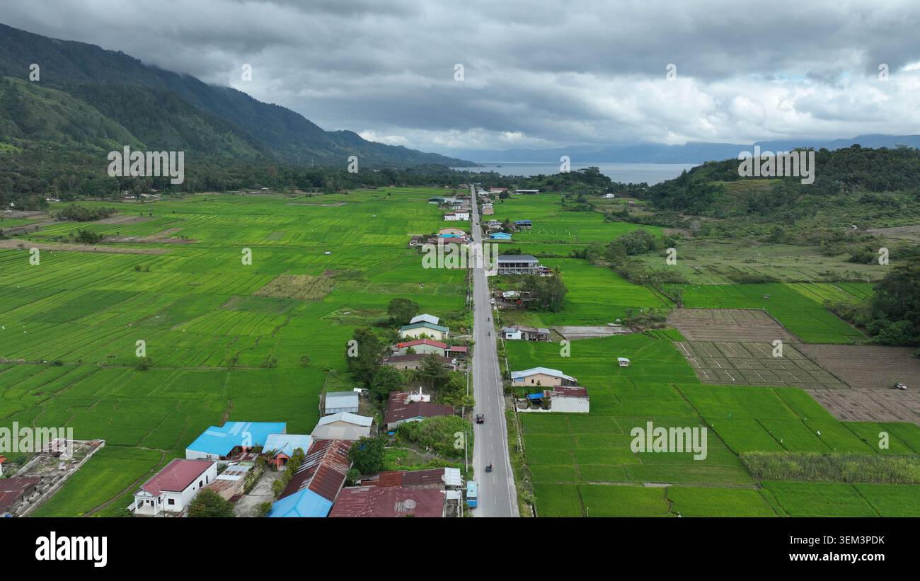 Vista aerea di una lunga strada rettilinea che passa attraverso lussureggianti risaie verdi e case rurali vicino al lago Toba nella Reggenza di Samosir, Sumatra settentrionale, indonesiane Foto Stock