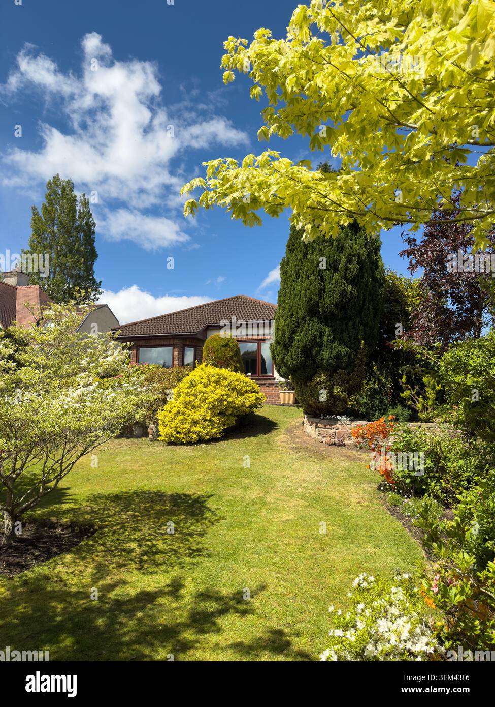 WIRRAL, MERSEYSIDE, INGHILTERRA - 18 MAGGIO 2026: Il giardino frontale del bungalow espone arbusti e alberi fioriti in primavera - Immagine stock catturata con smartphone