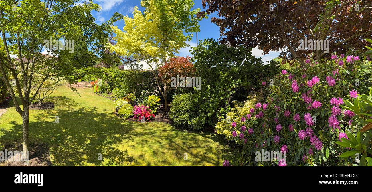 Il sole primaverile svela un giardino all'inglese con alberi e arbusti che costeggiano un prato verde che mostra piantagioni stagionali e design del giardino, l'Englan - Immagine stock catturata con smartphone