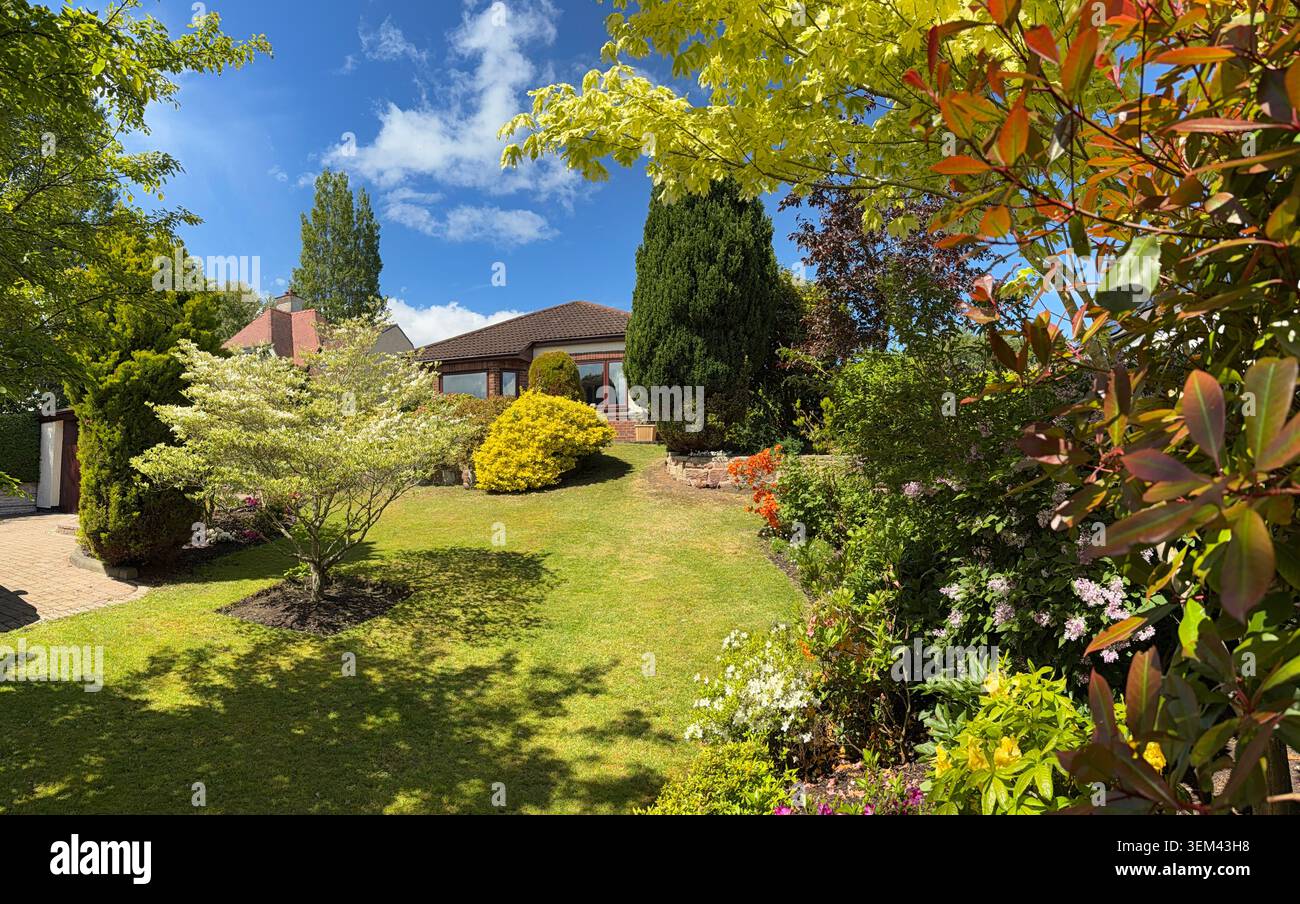 WIRRAL, MERSEYSIDE, INGHILTERRA - 18 MAGGIO 2026: Il giardino fronte bungalow espone arbusti e alberi che confinano con un prato verde in una giornata di primavera soleggiata, Inghilterra - Immagine stock catturata con smartphone