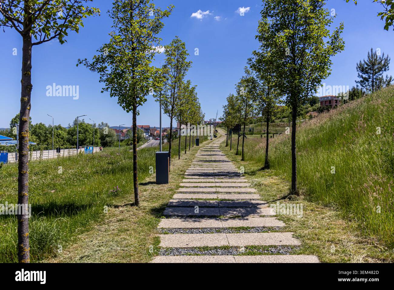 Un'ampia vista panoramica di un sentiero pedonale vuoto con lastre di pietra in un moderno parco cittadino, fiancheggiato da giovani alberi verdi, lussureggianti pendii erbosi e una luminosa S Foto Stock