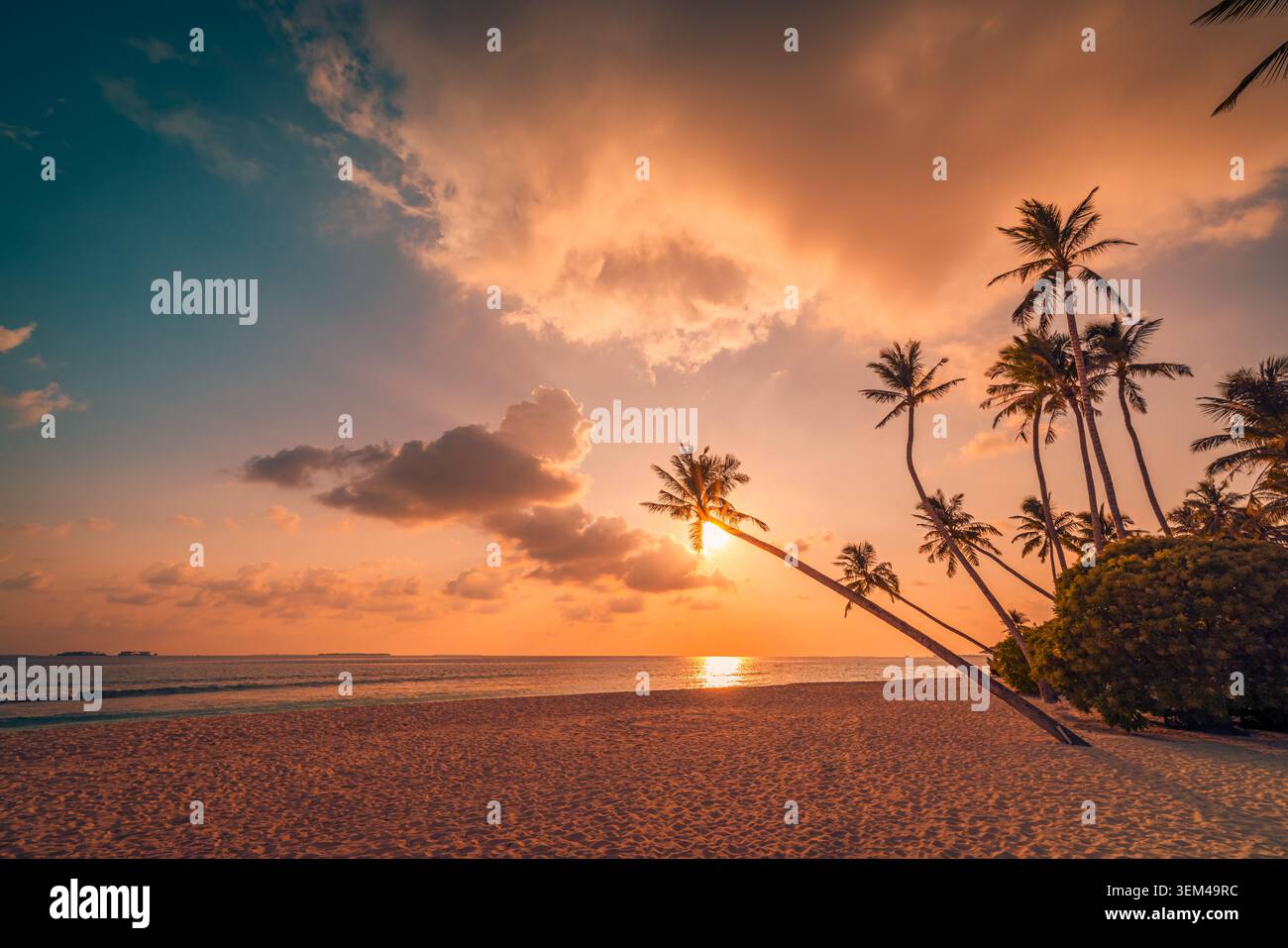 Tramonto dorato tra palme di cocco inclinate su una spiaggia tropicale, sole luminoso sopra l'orizzonte del mare, nuvole calde e drammatiche sopra la riva insulare scenario serale Foto Stock