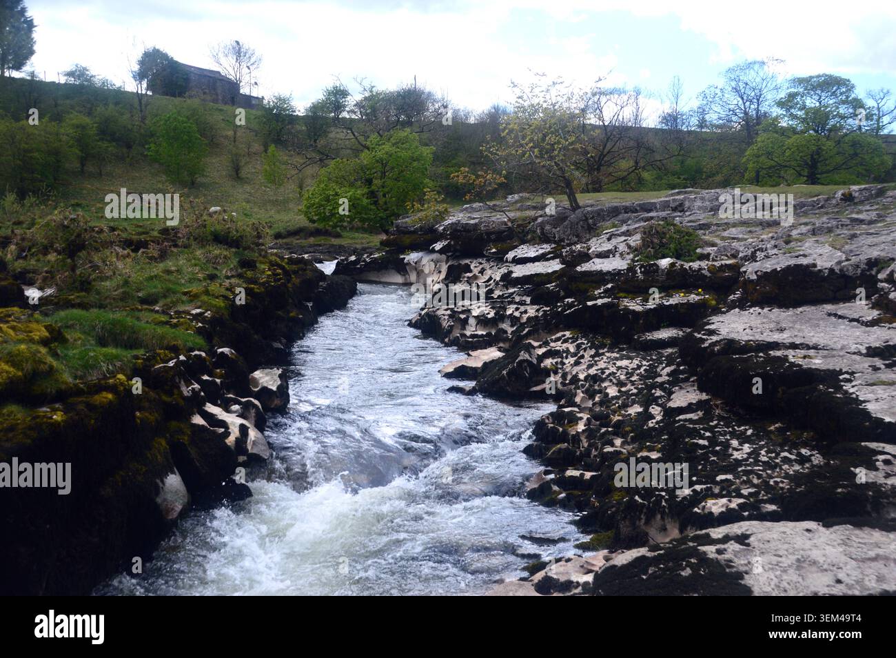 Ghaistrill's Strid una stretta Gola di pietra calcarea sul fiume Wharfe vicino Grassington, Wharfedale, Yorkshire Dales National Park, Yorkshire, Inghilterra, Regno Unito. Foto Stock