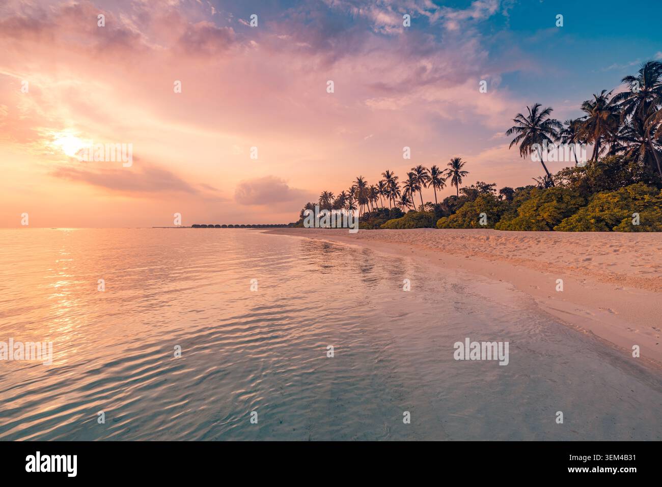 Tramonto dorato su una spiaggia tropicale, palme su una riva tranquilla, il sole che brilla sopra il mare calmo, caldo paesaggio costiero estivo scenografico in serata. Viaggi Foto Stock