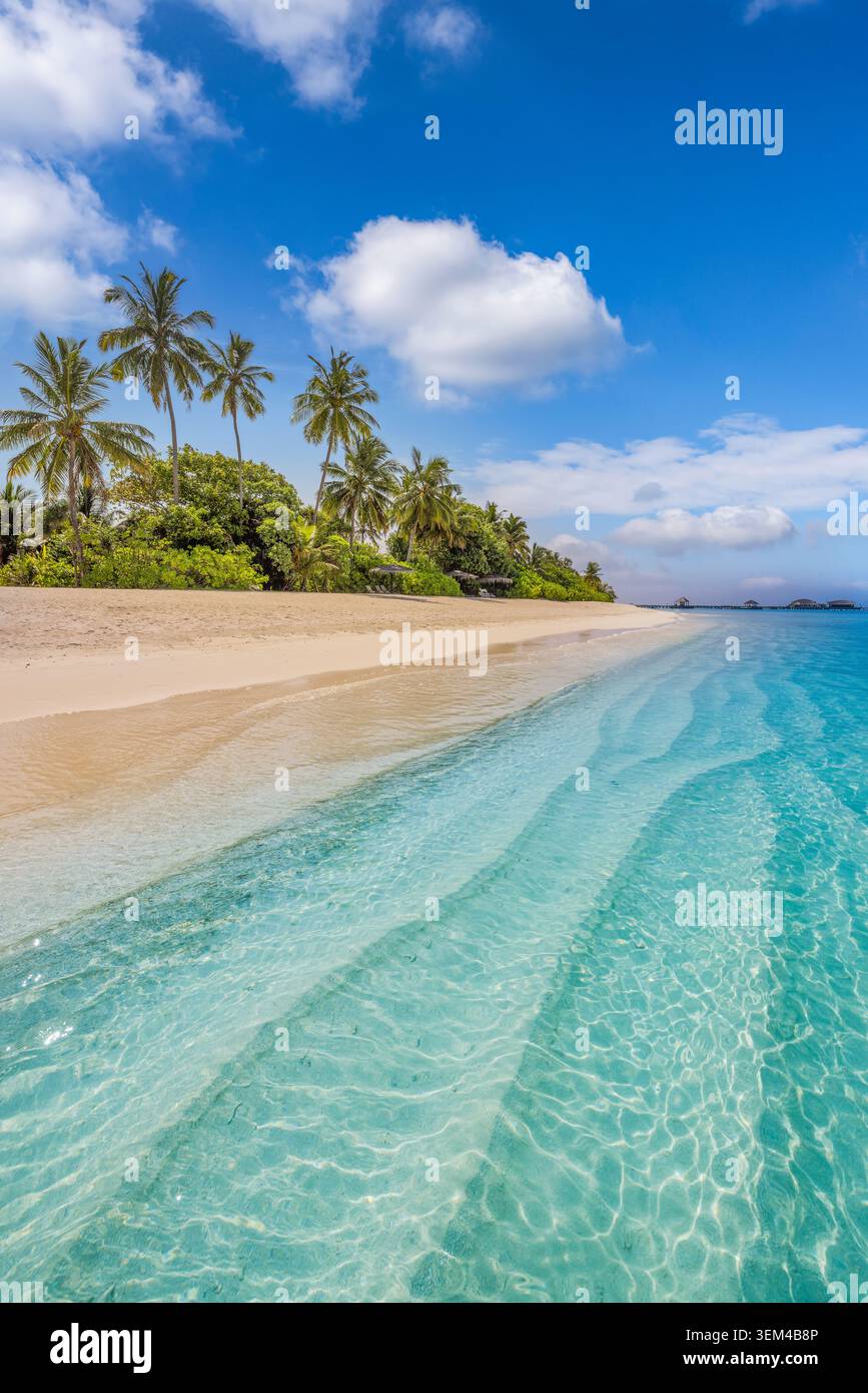 Lussureggiante paradiso della spiaggia tropicale, palme sopra la morbida spiaggia sabbiosa, acque cristalline dell'oceano turchese, esotico paesaggio verticale estivo, luna di miele da sogno Foto Stock