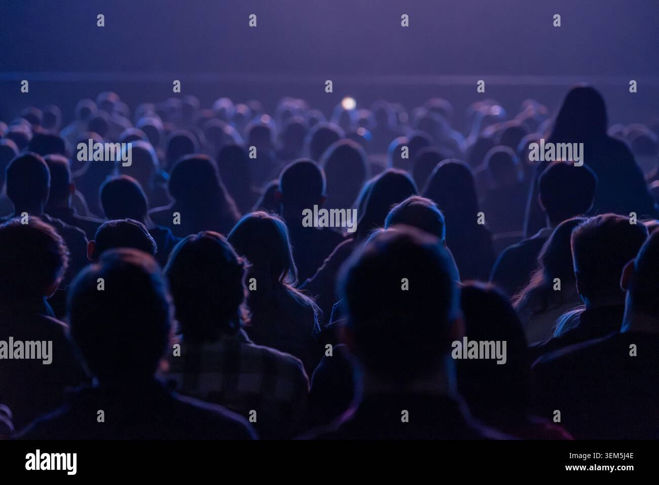 Grande pubblico seduto a guardare lo spettacolo sul palco in un luogo buio, l'illuminazione blu crea un'atmosfera soffusa. Foto Stock