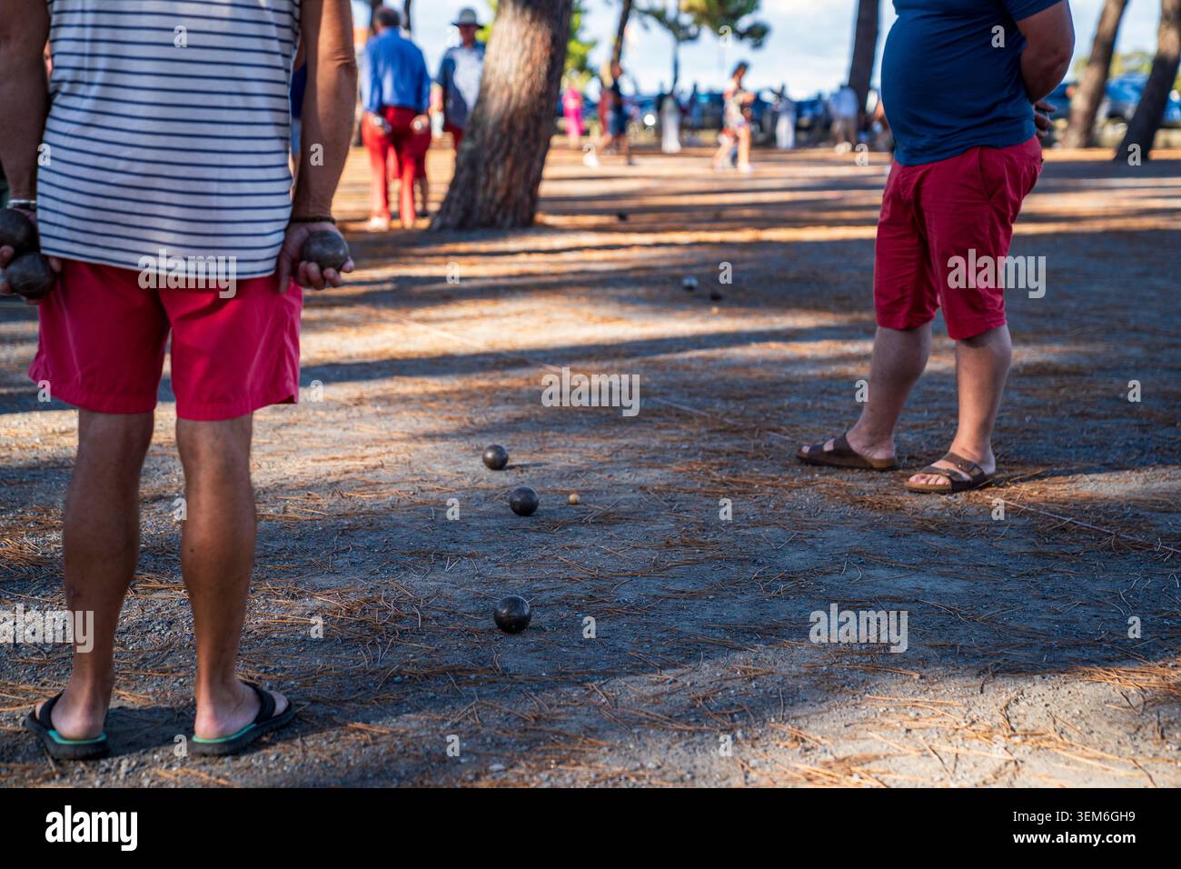 Dettaglio dei giocatori di bocce durante una partita di petanque su un terreno sterrato ricoperto di aghi di pino. In primo piano, le sfere metalliche sono visibili vicino al martinetto, Foto Stock