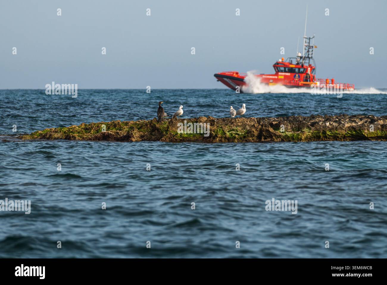 Riprese marittime dinamiche con una nave di salvataggio marittima arancione e rossa (salvataggio Maritimo) che taglia le onde, creando uno spray bianco. In t Foto Stock