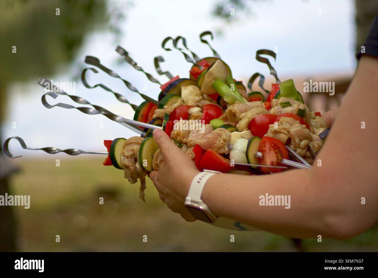 Barbecue finlandese. Vista ravvicinata di una persona che tiene in mano un piatto di spiedini di pollo crudo e verdure fresche preparati per un barbecue all'aperto. Questa vita Foto Stock