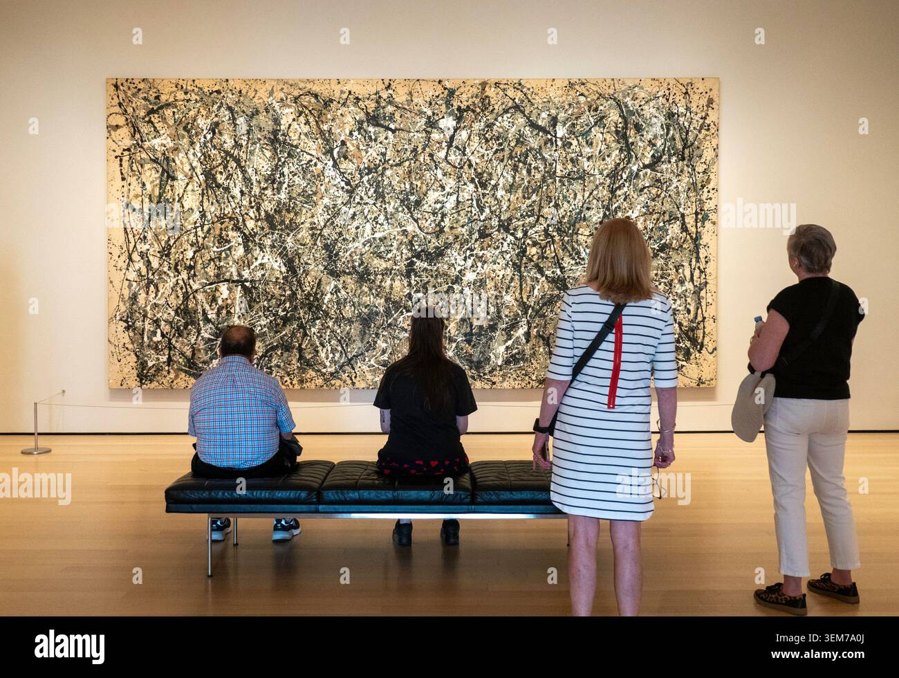 I visitatori ammirano e scattano foto di un dipinto Jackson Pollock Drip, Museum of Modern Art, NYC, 2026 Foto Stock