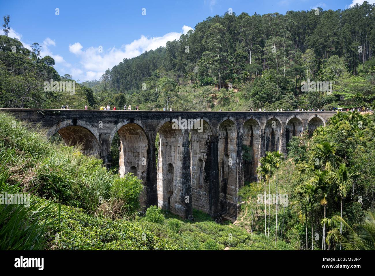 Un classico scatto di profilo che mostra i maestosi archi in pietra del ponte storico delle Nove Archi che si estende su una valle verde a Ella, Sri Lanka Foto Stock