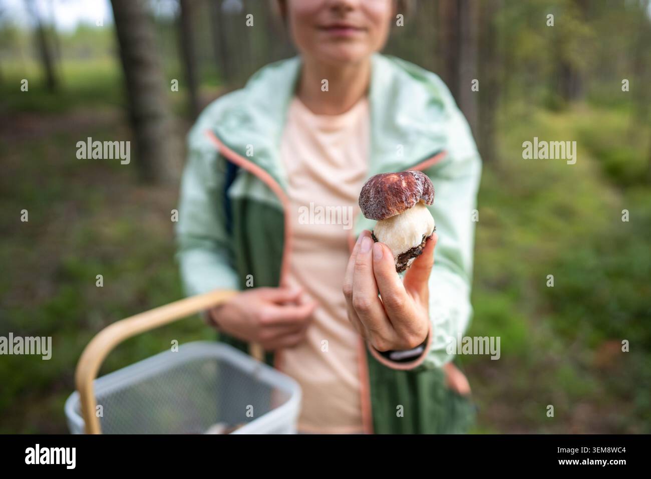 Femmina di funghi che tiene il bolete appena raccolto con gambo intatto nella foresta verde in viaggio Foto Stock